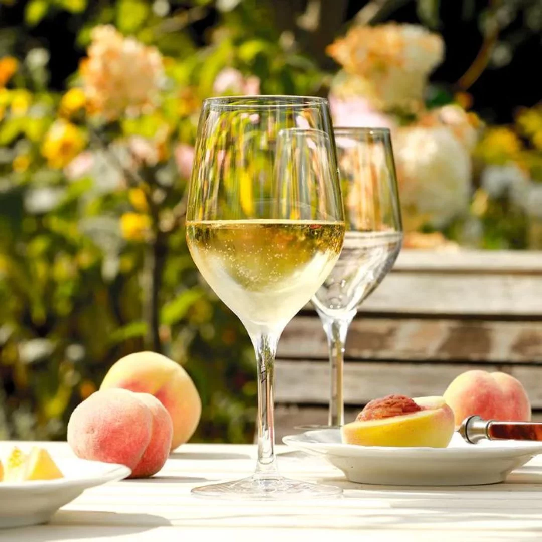 COPA VINO BLANCO